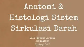 Anatomi & Histologi Sistem Sirkulasi Darah