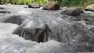 6th sense.The sound of river flowing. #river #natural #panorama #nature #quotes #life #beatiful