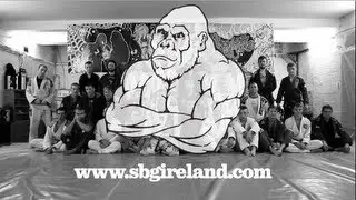SBG IRELAND