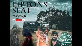 LIPTONS SEAT,THUSHARA GALLESSAGE