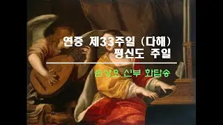 연중 제33주일 다해 평신도 주일 (손상오 신부)