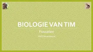 Biologie van Tim - Fossielen (bovenbouw)