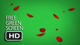 Free Green Screen - Falling Rose Petals