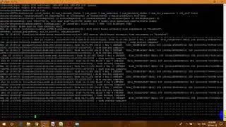 NETAPP DISK INITIALIZE