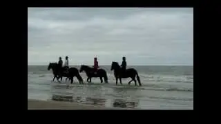 Strandwandeling 17/09/2012