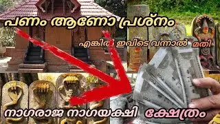 പണം ഇനി ഒരു പ്രശനം അല്ല ഇവിടെ വന്നാൽ മതി.#keralatemples.#varayal #wayanad temple.#keralaculture