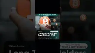 Long term holders own 80% of Bitcoin BTC #crypto #bitcoin #btc #hodl