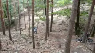 Steinfeld hometrail (downhill)
