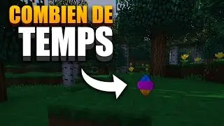 UN SPACE EN COMBIEN DE TEMPS SUR SKILLPVP ?!