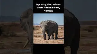 The Skeleton Coast National Park: Namibia’s Enigmatic Wilderness