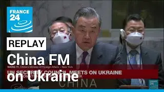 REPLAY - China says territorial integrity of Ukraine must be respected &bull; FRANCE 24 English