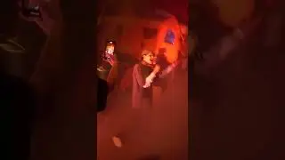 Aditotoro Song LIVE AUFTRITT