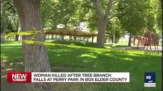 Falling tree branch kills 1, injures another in Perry Park