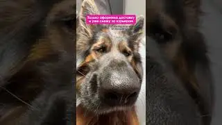Может и не быстрее, зато со скидкой на GILMON 😎