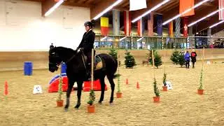 Working Equitation Trainingsturnier Gut Ising