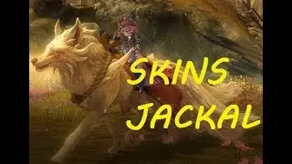 &hearts; &hearts;  GUILD WARS 2 SKINS JACKAL &hearts; &hearts;