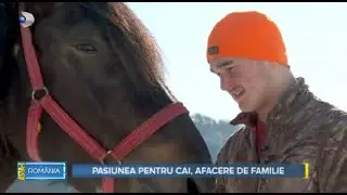 Asta-i Romania (19.02.2023) - Au transformat pasiunea pentru caii de rasa intr-o afacere de familie!