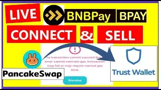 Bpay BNBPAY sell pancakeswap + Trust wallet, Transaction error cannot estimate gas, TRUST WALLET