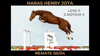 Haras Henry Jota &middot; REMATE 🔰 HIPISMO ALMUNDO 🔰