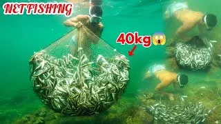 Net fishing - आधीखोला मा हीते जाल हीनेर ४० के.जी माछा मारीयो ! Fishing Aadhikhola Syangja 