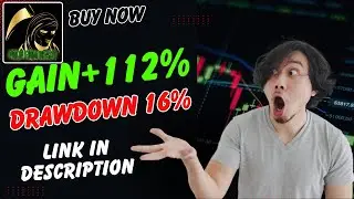 Gold Reaper EA: The MT4 Bot Built to Dominate XAUUSD in 2025!