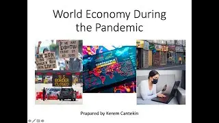 Overview of the World Economy 2021