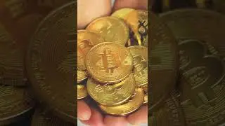 CoinMarketCap Daily, June 24: Bitcoin Hovers, Beeple Launches NFT Platform #Shorts