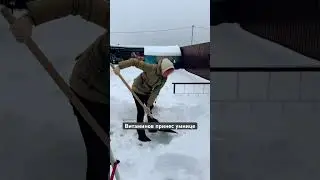 Витаминов умнице принес