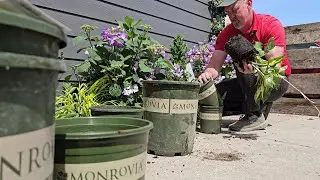 Planting a Shade Garden with Monrovia Plants || Bauman's Farm & Garden