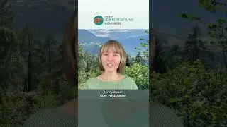 Hast Du das &uuml;ber Leberentgiftung gewusst? #leber #wildkr&auml;uter - erfahre mehr auf akademie.medumio.de
