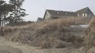 Popham Beach faces severe erosion despite tree dune restoration