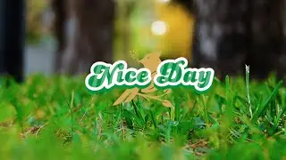 Lightboys - Nice Day