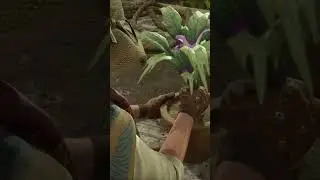 Give your Mandrake a firm tug&hellip;