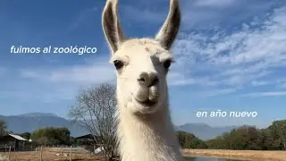 me tropecé con una cabra…