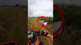 Motorbiker Finds Pile Of Weird Stuff @brnjaxx