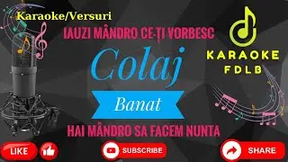 Colaj Banat de Joc 🛑Do major🛑//Karaoke//Versuri//Negative//Populara/Ardeal/Moldova/Doine/Malele