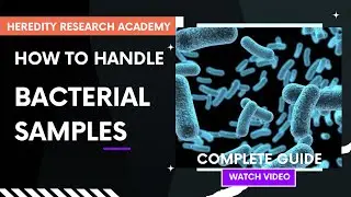 Handling of bacterial pathogens from isolated specimens