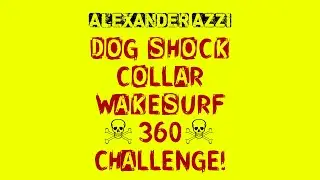 Dog Shock Collar Wakesurf 360 Challenge
