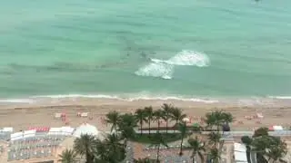 Hollywood beach Hilton Hotel