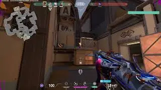 THE Best Trigger/Color Bot Valorant