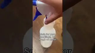 How to Fix Mold on Indoor Seedlings with Easy DIY Hydrogen Peroxide Spray!
