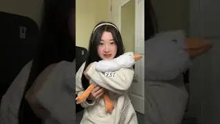 I bought Lexi Hensler&rsquo;s weighted stuffed animal! | Quackers the Duck (GiveHugz)