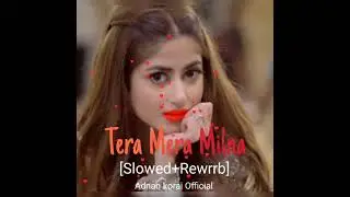 World Bass - Tera Mera Milna ( 2026 Beat Mix ) _  2026 New Song_ Trending Song-[Slowed+Reverb] 
