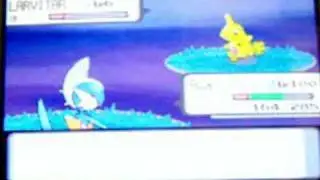Shiny Larvitar with Shiny Patch