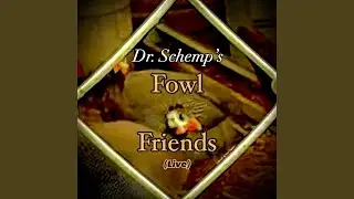 Fowl Friends (Live)