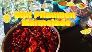 Making Blood Plum Jam 🌞 August 2024