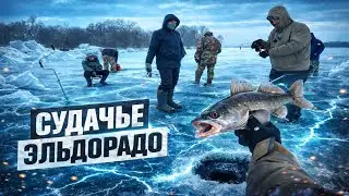 ОББУРИЛИ СО ВСЕХ СТОРОН😱 СУДАК ОДИН ЗА ОДНИМ❗❗❗ Вот это я понимаю ЗОЛОТАЯ ЛУНКА👑