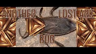 Lost Ark PvP Global Launch Bug - it happens again~