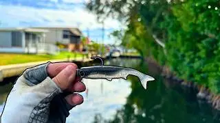 Catching Snook In HIDDEN Florida Canals (Winter Fishing)