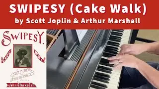 JOPLIN/MARSHALL: Swipesy (Cake Walk) | Cory Hall, pianist